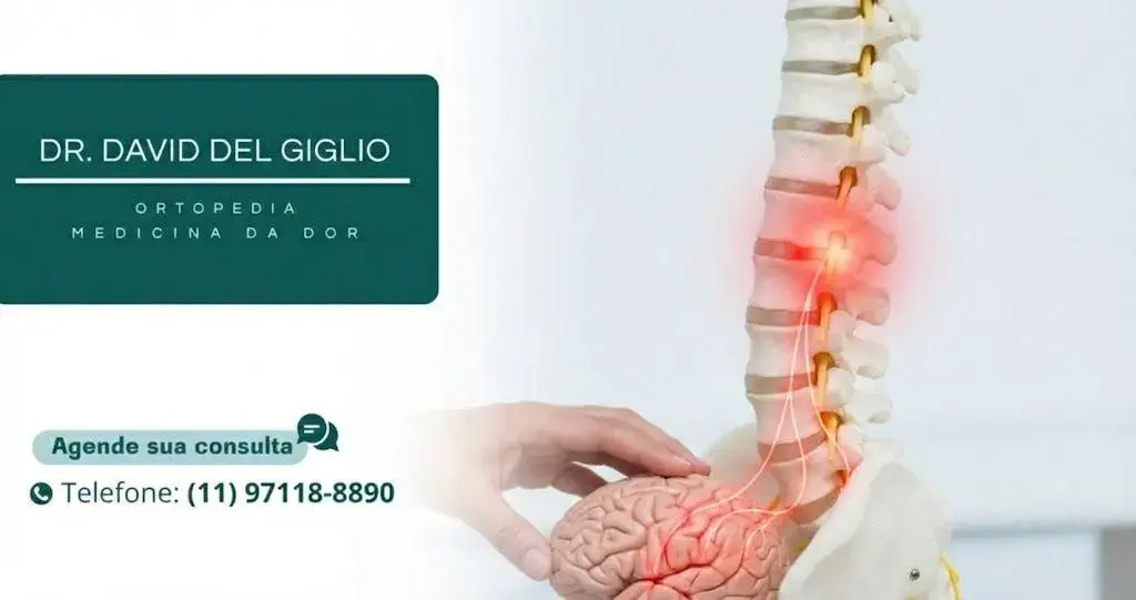 O que é dor crônica e por que ela persiste?